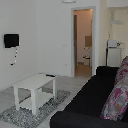 Sara 2013 Constanţa